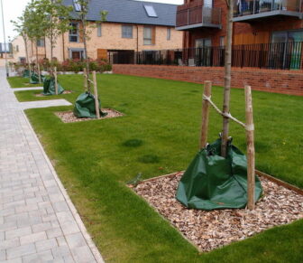 Trees with watering bags in Great Britain. (Photo by Michael Trolove, CC-BY, http://www.geograph.org.uk/photo/3951445)