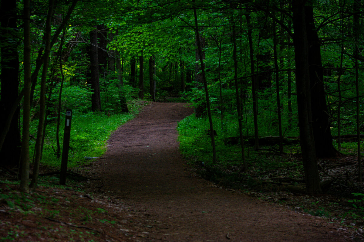 Hamilton Conservation Authority Posts $1.6M Surplus in 2025