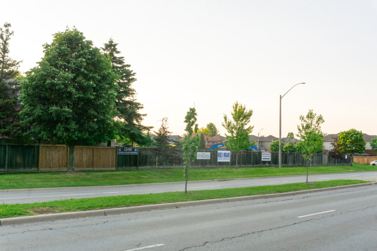 Hamilton’s Climate Change Committee Declines to Support Exempting Non-Profit Housing from Tree Requirements