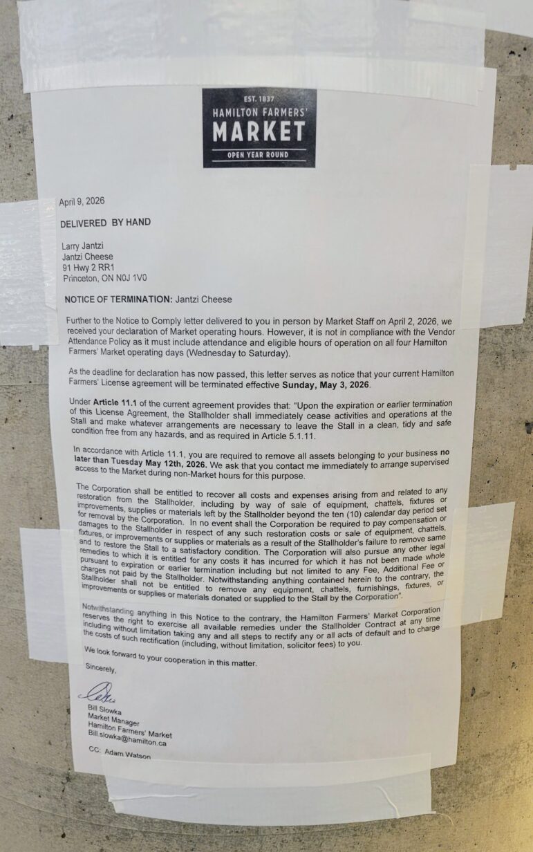 A close-up photograph of a formal "Notice of Termination" letter taped to a concrete pillar. The document is on Hamilton Farmers’ Market letterhead and is dated April 9, 2026. The text explains that the Jantzi Cheese license is being terminated because the vendor's declared hours do not comply with the requirement to operate Wednesday through Saturday. It is signed by Market Manager Bill Slowka.