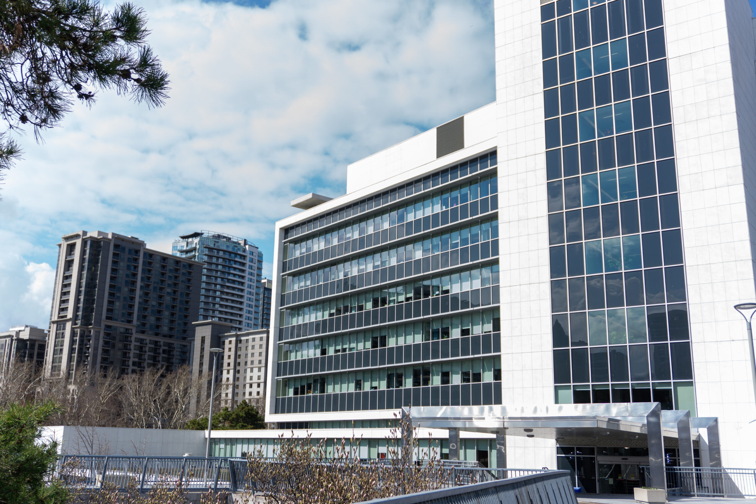 Live Coverage: Hamilton City Council Holds Special Session on AI Data Centres Today
