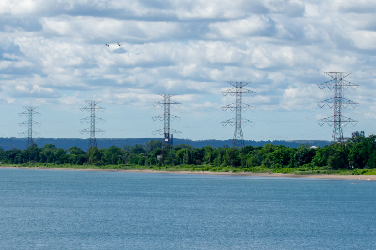 A wide, daytime landscape photograph captures a line of five towering steel lattice hydro transmission structures stretching from left to right across the horizon. In the foreground, the calm, deep blue water of a lake meets a narrow strip of sandy beach. Behind the shoreline, a dense barrier of vibrant green trees runs parallel to the water, partially obscuring the lower sections of the electrical towers. Thin power lines connect the tall structures against a bright sky filled with large, textured white and grey clouds, with a pair of birds visible flying in the upper left quadrant. The distant background reveals a faint, dark landmass ridge and subtle industrial silhouettes under natural outdoor lighting conditions.