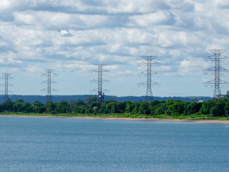A wide, daytime landscape photograph captures a line of five towering steel lattice hydro transmission structures stretching from left to right across the horizon. In the foreground, the calm, deep blue water of a lake meets a narrow strip of sandy beach. Behind the shoreline, a dense barrier of vibrant green trees runs parallel to the water, partially obscuring the lower sections of the electrical towers. Thin power lines connect the tall structures against a bright sky filled with large, textured white and grey clouds, with a pair of birds visible flying in the upper left quadrant. The distant background reveals a faint, dark landmass ridge and subtle industrial silhouettes under natural outdoor lighting conditions.