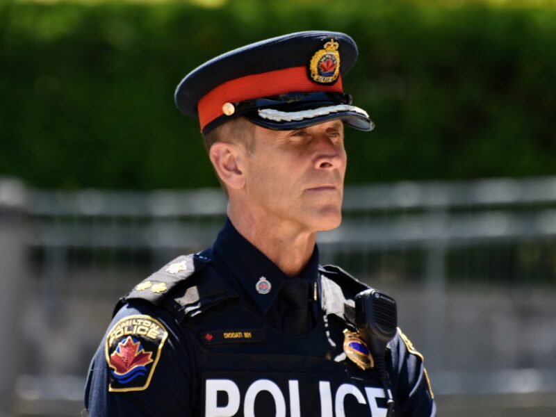 A medium close-up outdoor portrait captures a male senior police officer, Deputy Chief of Police Ryan Diodati, in profile, gazing forward toward the right with a serious, composed expression. He is wearing the formal service dress of the Hamilton Police Service, including a dark navy peaked service cap adorned with a bright red band, an embroidered police crest, and gold oak leaf bullion along the visor. His dark uniform shirt features epaulette insignia on the shoulders, an embroidered shoulder flash with the municipal police crest, a clip-on radio microphone, a metallic badge, and a nameplate reading Diodati 801. The background has a soft focus and shallow depth of field, revealing green foliage and a grey metal balustrade under direct, bright daytime sunlight that casts distinct highlights across his face and uniform.